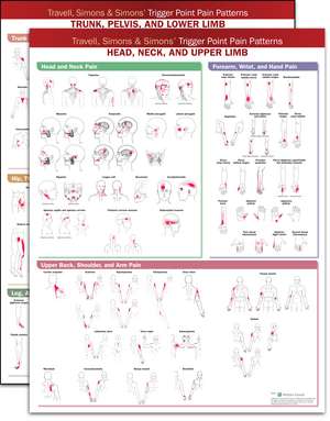 Travell, Simons & Simons’ Trigger Point Pain Patterns Wall Charts Package de Anatomical Chart Company