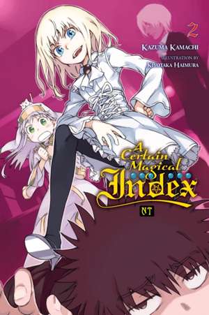 A Certain Magical Index Nt, Vol. 2 (Light Novel) de Kazuma Kamachi