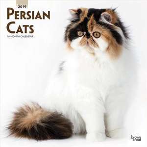 Persian Cats - Perserkatzen 2019 - 18-Monatskalender