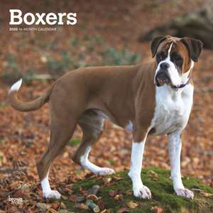 Boxers International - Boxer 2020 - 18-Monatskalender mit freier DogDays-App