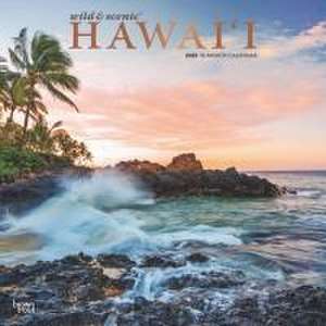 Hawaii Wild & Scenic 2025 12 X 24 Inch Monthly Square Wall Calendar Foil Stamped Cover Plastic-Free de Browntrout