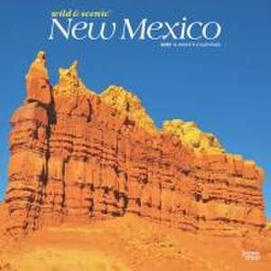 New Mexico Wild & Scenic 2025 12 X 24 Inch Monthly Square Wall Calendar Plastic-Free de Browntrout