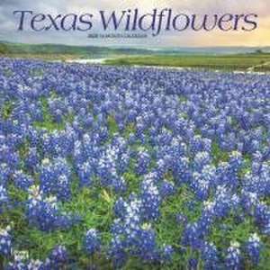 Texas Wildflowers 2025 12 X 24 Inch Monthly Square Wall Calendar Plastic-Free de Browntrout