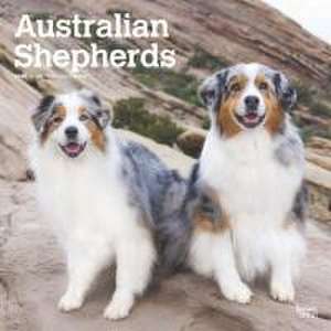 Australian Shepherds 2025 12 X 24 Inch Monthly Square Wall Calendar Plastic-Free de Browntrout