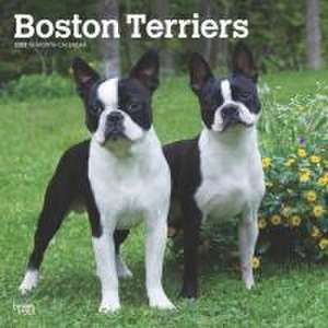 Boston Terriers 2025 12 X 24 Inch Monthly Square Wall Calendar Plastic-Free de Browntrout