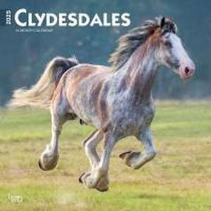 Clydesdales 2025 12 X 24 Inch Monthly Square Wall Calendar Plastic-Free de Browntrout