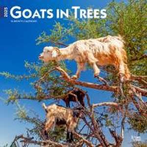 Goats in Trees 2025 12 X 24 Inch Monthly Square Wall Calendar Plastic-Free de Browntrout