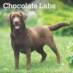 Chocolate Labrador Retrievers 2025 12 X 24 Inch Monthly Square Wall Calendar Plastic-Free de Browntrout