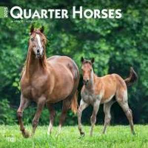 Quarter Horses 2025 12 X 24 Inch Monthly Square Wall Calendar Plastic-Free de Browntrout