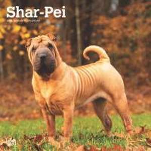 Shar Pei 2025 12 X 24 Inch Monthly Square Wall Calendar Plastic-Free de Browntrout