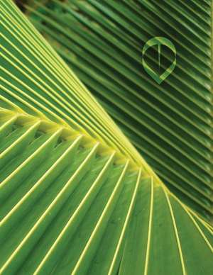 Palm Leaf Grid Sketchbook de Services, N. D. Author