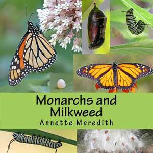 Monarchs and Milkweed de Annette Meredith