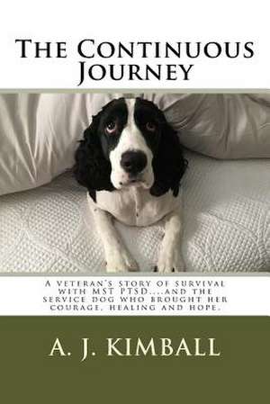 The Continuous Journey de Kimball, A. J.