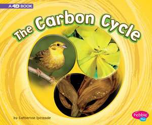 The Carbon Cycle de Catherine Ipcizade