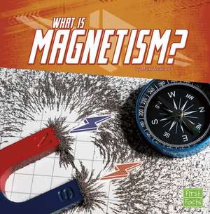 What Is Magnetism? de Mark Weakland