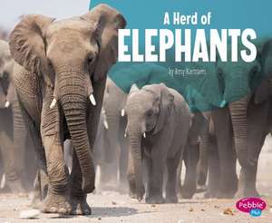 A Herd of Elephants de Amy Kortuem