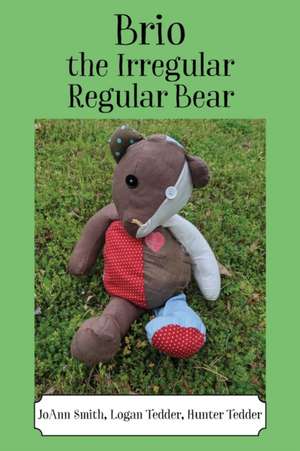Brio, the Irregular Regular Bear de Joann Smith