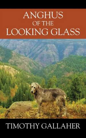 Anghus of the Looking Glass de Timothy Gallaher