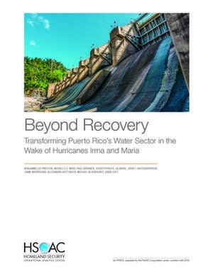 BEYOND RECOVERY TRANSFORMING de Paul Brenner