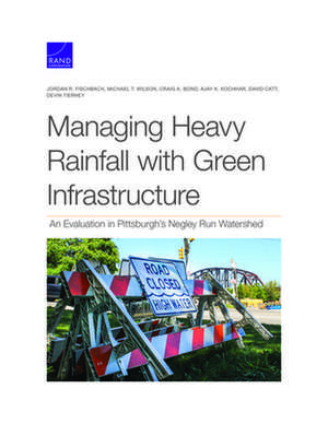 Managing Heavy Rainfall with Green Infrastructure: An Evaluation in Pittsburgh's Negley Run Watershed de Devin Tierney