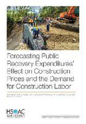 Forecasting Public Recovery Expenditures' Effect on Construction Prices and the Demand for Construction Labor de Aaron Strong