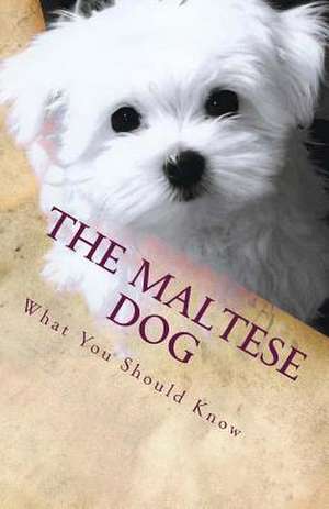 The Maltese Dog de Victor Santos