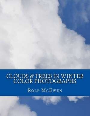 Clouds & Trees in Winter - Color Photographs de Rolf McEwen