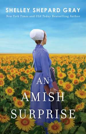 An Amish Surprise de Shelley Shepard Gray