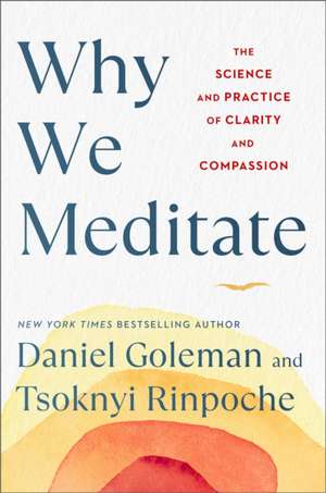 Why We Meditate de Daniel Goleman