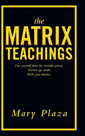 The Matrix Teachings de Mary Plaza