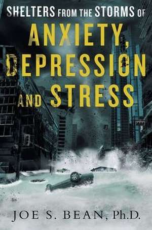 Shelters from the Storms of Anxiety, Depression and Stress de Joe S. Bean Ph. D.