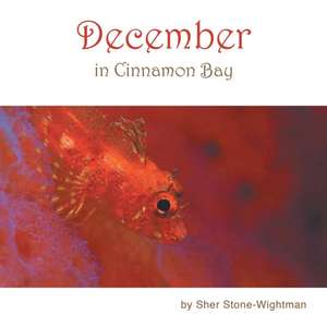 December in Cinnamon Bay de Sher Stone-Wightman