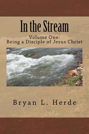 In the Stream de Bryan L. Herde