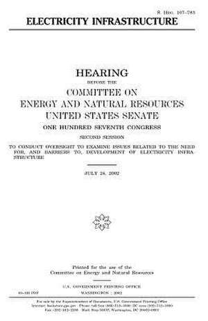 Electricity Infrastructure de United States Congress