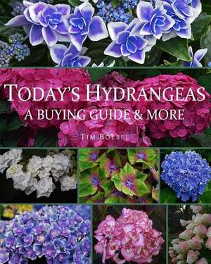 Today's Hydrangeas de Tim Boebel