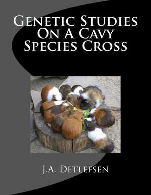 Genetic Studies on a Cavy Species Cross de Detlefsen, J. a.