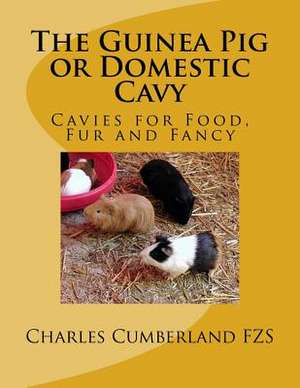 The Guinea Pig or Domestic Cavy de Cumberland Fzs, Charles