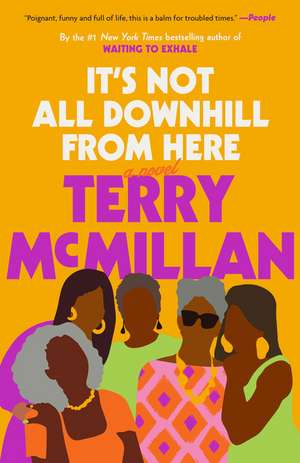 It's Not All Downhill From Here de Terry McMillan