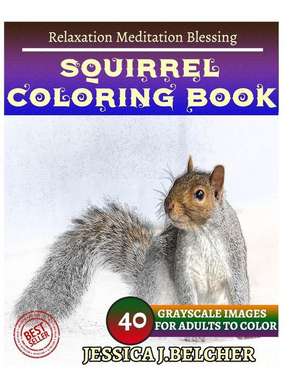 Squirrel Coloring Book for Adults Relaxation Meditation Blessing de Belcher, Jessica