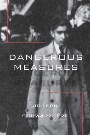 Dangerous Measures de Joseph Schwarzberg