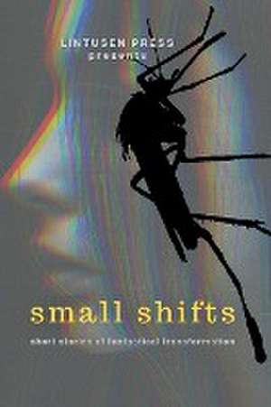 Small Shifts de Lintusen Press