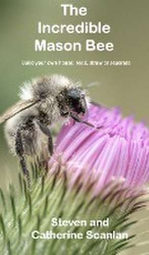 The Incredible Mason Bee de Steven Scanlan