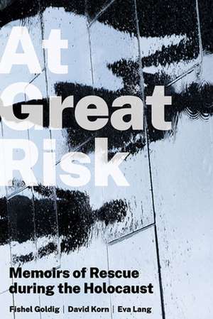 At Great Risk de Fishel Goldig