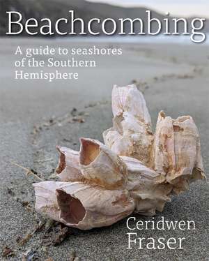 Beachcombing de Ceridwen Fraser