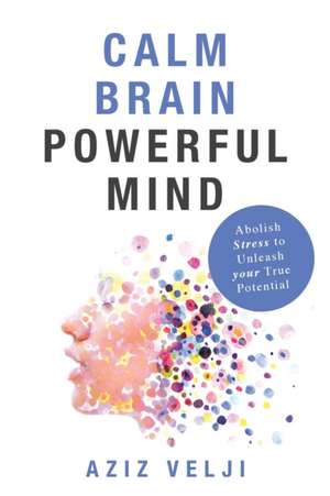 Calm Brain, Powerful Mind de Aziz Velji