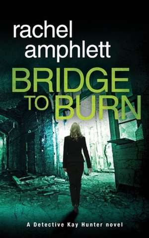 Bridge to Burn de Rachel Amphlett