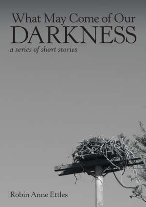 What May Come of Our Darkness de Robin Anne Ettles