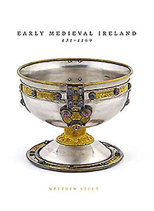 Early Medieval Ireland 431-1169 de Matthew Stout