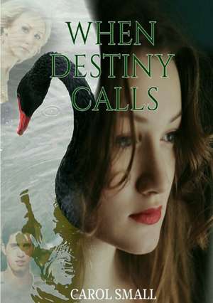 When Destiny Calls de Carol Small