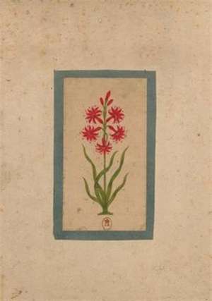 Carnet Blanc, Fleur 1, Miniature Indienne 18e Siècle de Sans Auteur